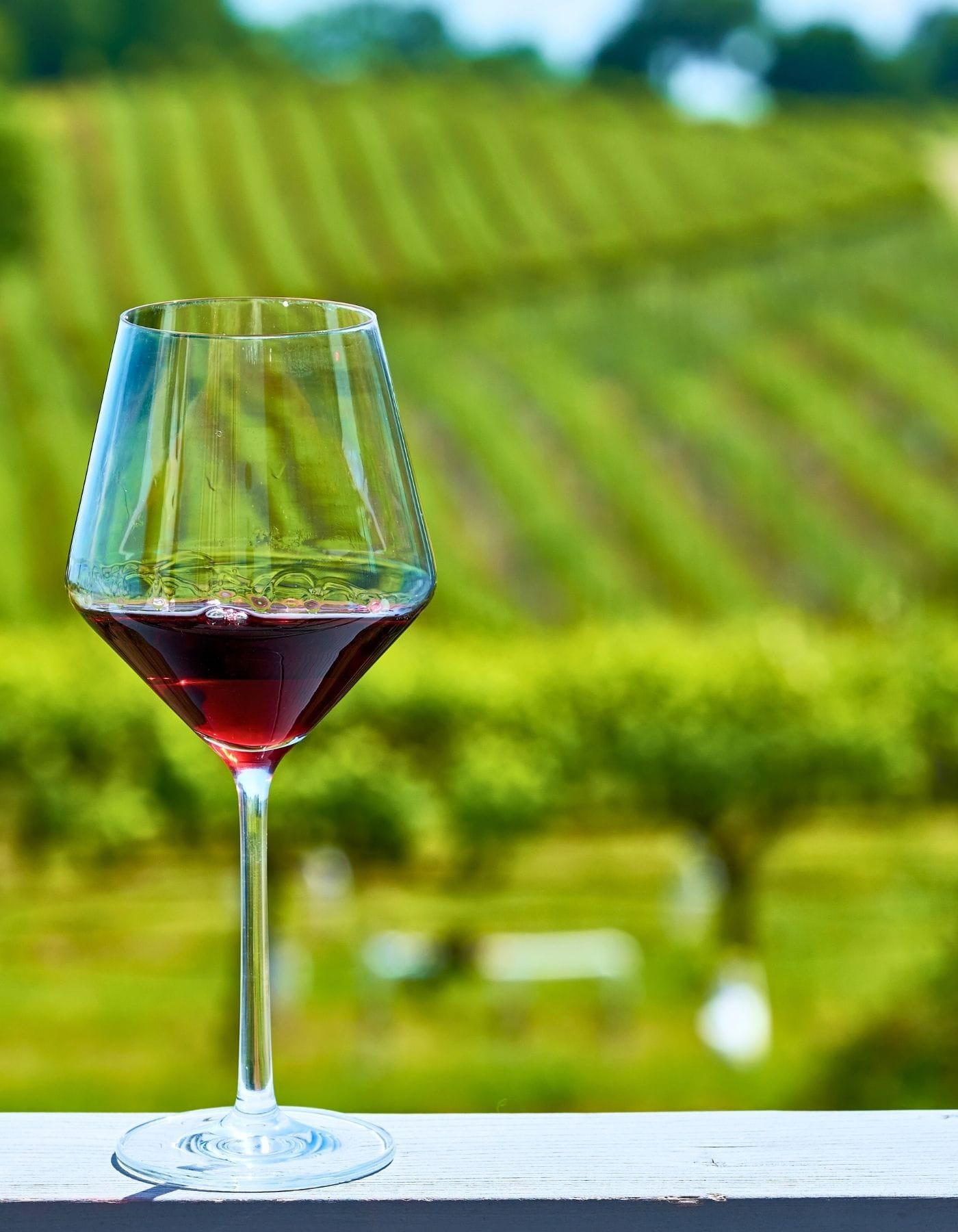 Gîtes L’Auberderie proche des domaines viticoles