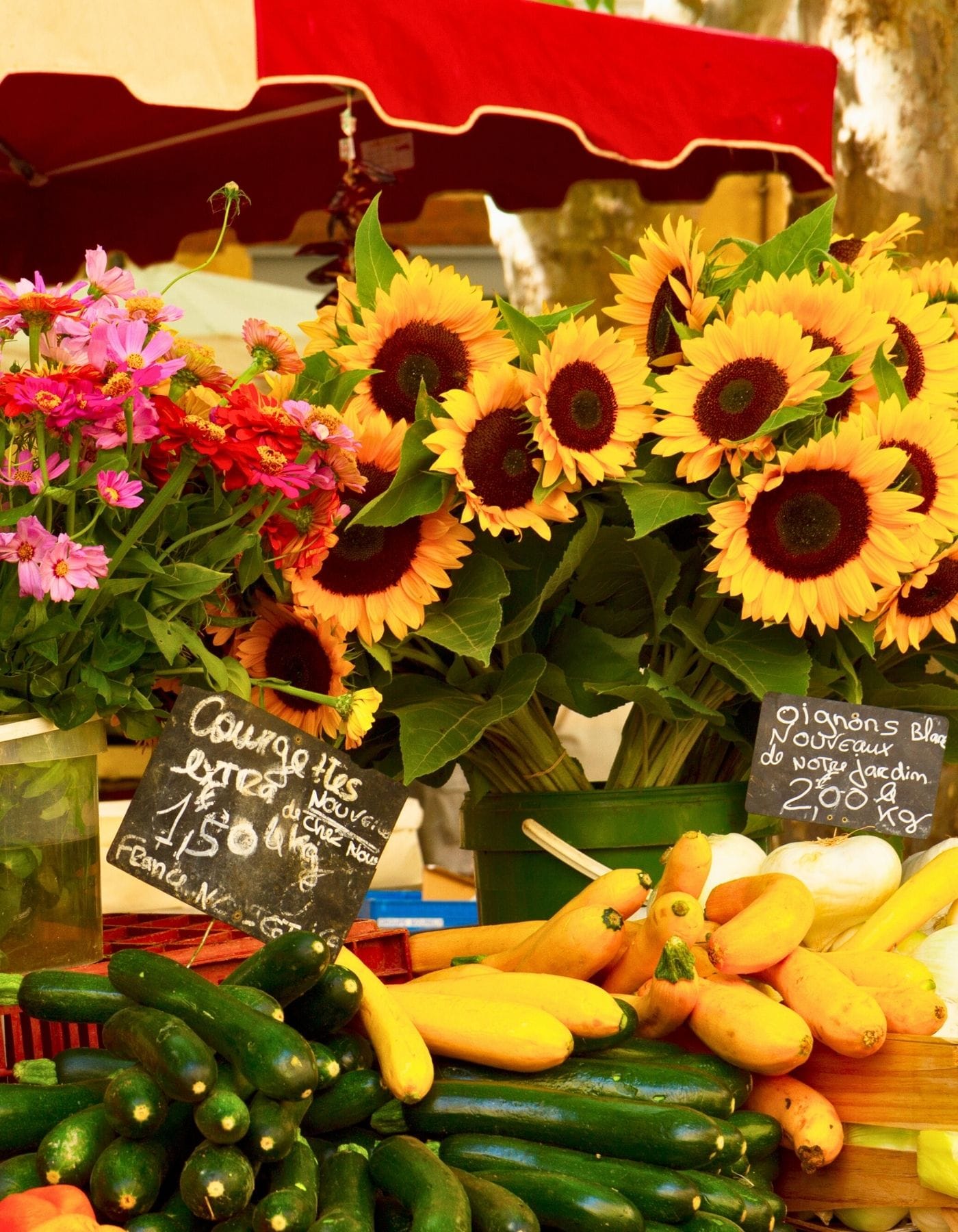 Gîtes L’Auberderie proche des marchés provençaux Gîtes L'Auberderie proche des marchés provençaux