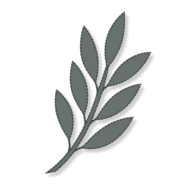 Logo l'Auberderie Logo l'Auberderie